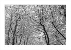Complessità invernale Complessità invernale