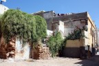 Ruderi in fiore Ruderi in fiore