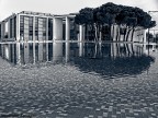 Reflex Reflex