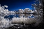 Torbiere IR Torbiere IR