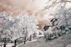 Fantasy Fantasy