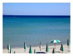 Spiaggia che fu. Spiaggia che fu.