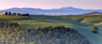 Silent Spring Silent Spring