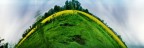 - the thin yellow line -   ;/) anamorphic pinhole