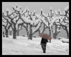 colore all'inverno colore all'inverno
