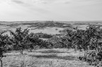 paesaggio collinare paesaggio collinare