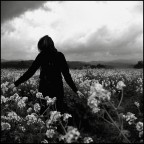 Cime tempestose Cime tempestose