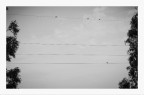 ''' '''