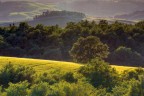 Green Valley - Val D'Orcia