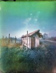 tra le vigne ;/) pinhole tra le vigne ;/) pinhole