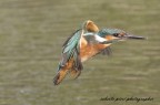 in volo in volo