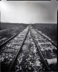 due destini   ;/)   pinhole