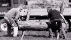 Padre Figlio e la Vita Padre Figlio e la Vita