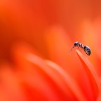 il suo mondo dall'alto..