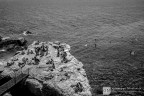 _img6 _img6