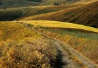 L'oro vero L'oro vero