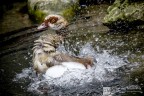 _img7 _img7