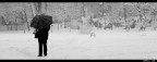 Sotto la neve Sotto la neve