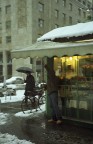 Vita con la neve I Vita con la neve I