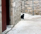 L'attesa L'attesa
