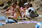 L'abitudine L'abitudine