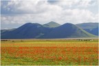 IMG 1786 IMG 1786