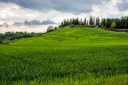 Collina Toscana (2) Collina Toscana (2)