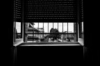 From my window From my window