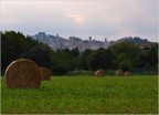 Bergamo Bergamo