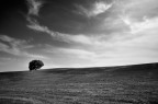 paesaggio b/n paesaggio b/n