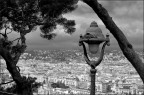Nizza Nizza