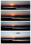 Saline Saline