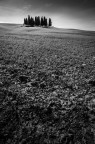 paesaggio Toscano paesaggio Toscano