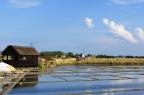 Saline di Cervia. Saline di Cervia.