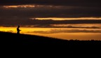 leggendo al tramonto leggendo al tramonto