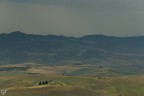 Volterra! Volterra!