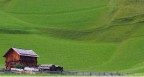 Colline Verdi Colline Verdi