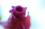 Macro Macro
