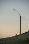 NEF 2241 NEF 2241