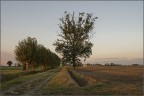 NEF 2872(Sul far della sera) NEF 2872(Sul far della sera)