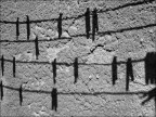 Particolari note