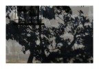 ''' '''