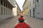Rosso Rosso