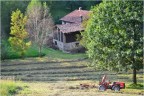 Lavori in campagna