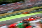Kimi_Tricolore Kimi_Tricolore