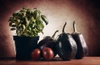 Studio con verdure Studio con verdure