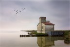 Comacchio: Argine Agusta Comacchio: Argine Agusta