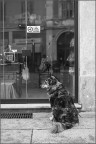 Io Non Posso Entrare Io Non Posso Entrare
