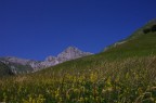 Prato e cielo Prato e cielo
