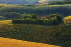 no title no title